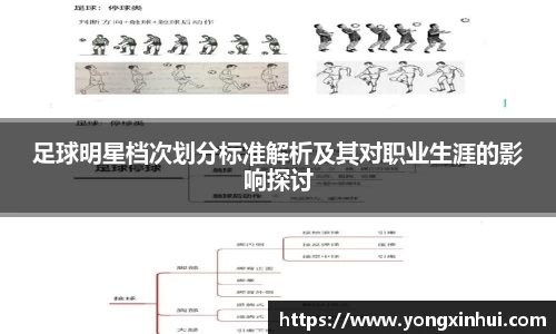 足球明星档次划分标准解析及其对职业生涯的影响探讨